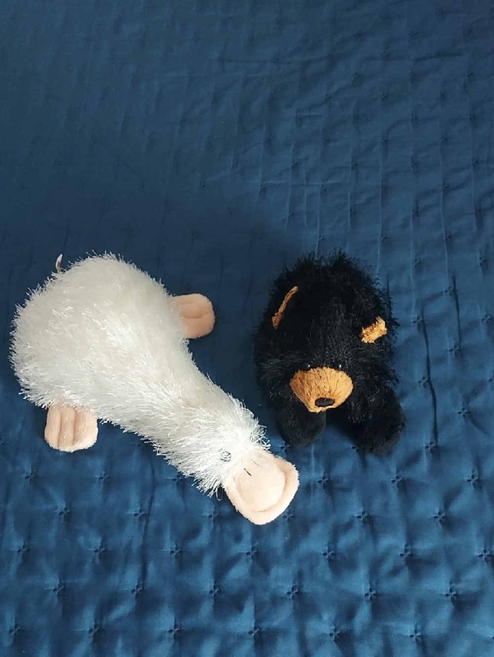 Set Of 2 GANZ Plush WEBKINZ GOOGLES & BLACK BEAR